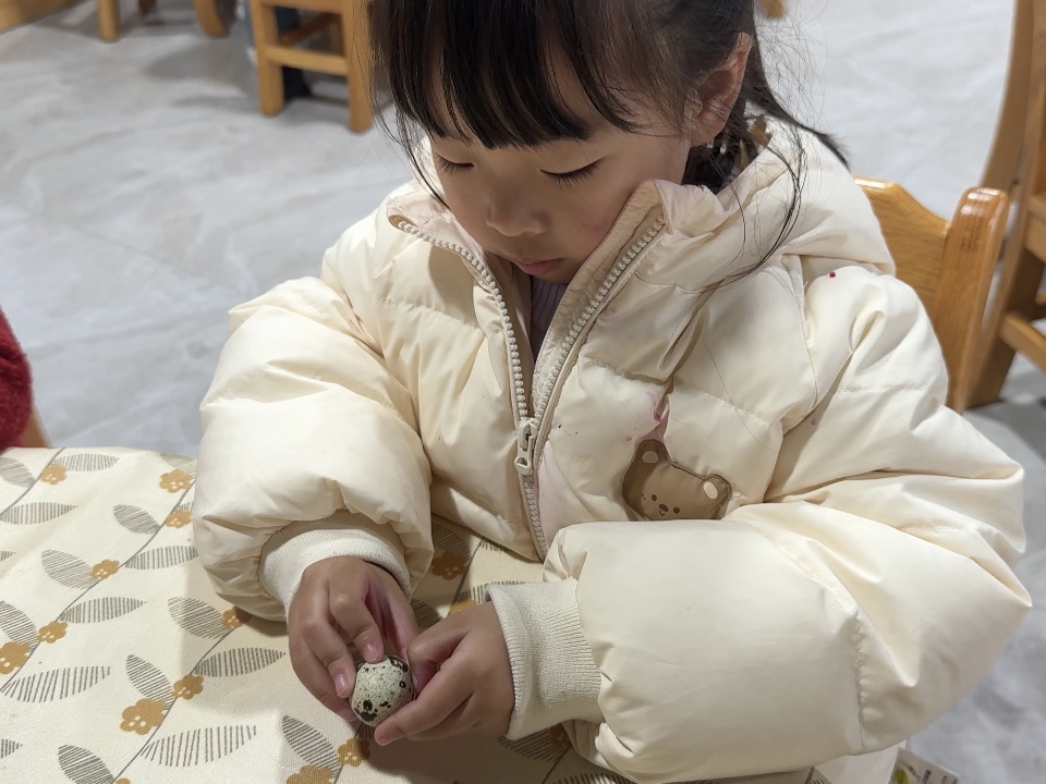 a0541fe80565496f9b9b926687d1bb44.jpg