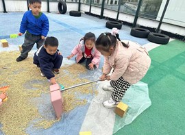 中班上学期生活花絮（一起去晒稻谷）