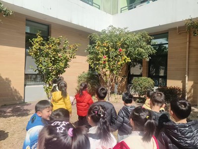 中班下学期生活花絮（找春天）